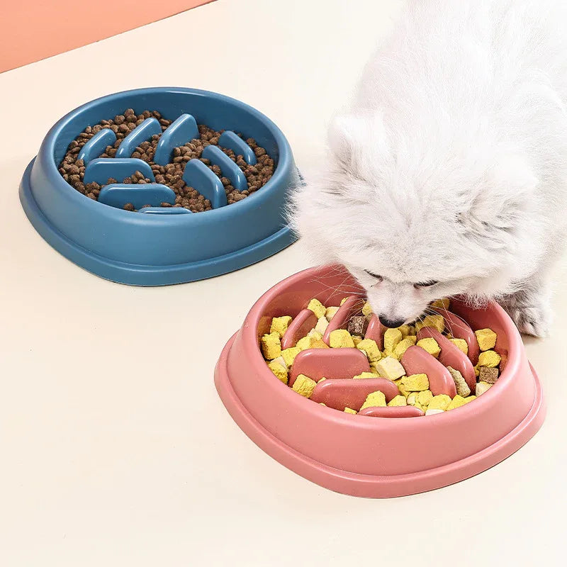 Gamelle anti-glouton pour chats et chiens