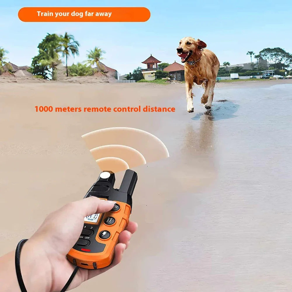 Collier de dressage électrique étanche anti-aboiements avec télécommande pour chien