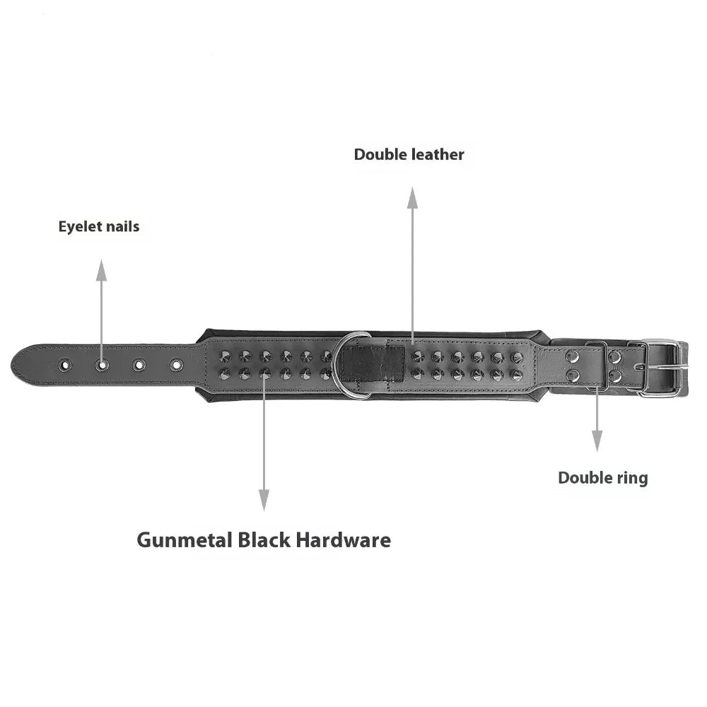 Collier en cuir pour animaux de compagnie et bandana pour chien