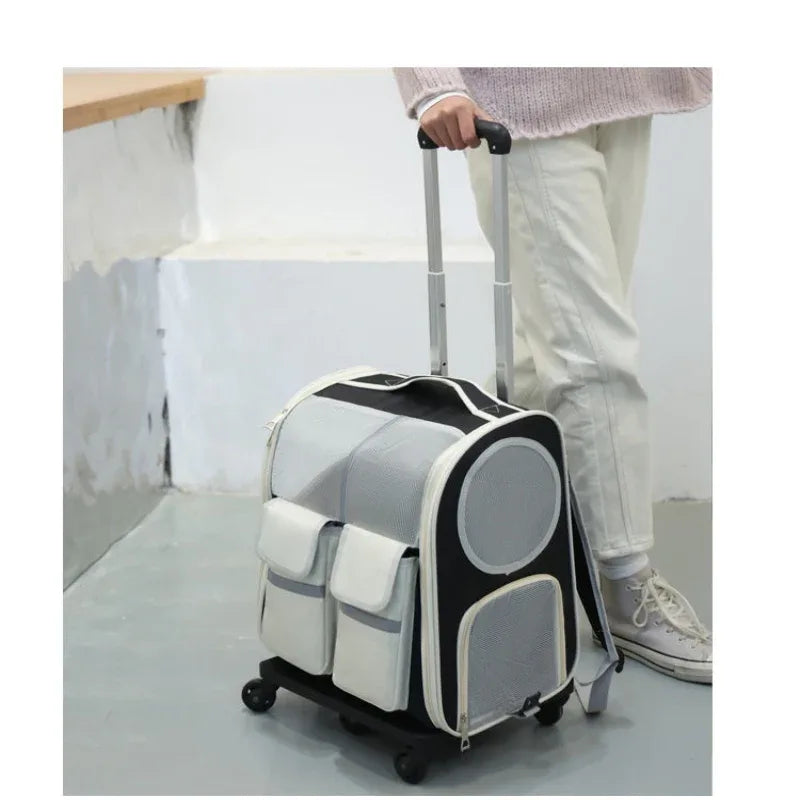 Haustier-Trolley-Tasche Katzen-Tasche Große Kapazität Tragbarer Atmungsaktiver Rucksack