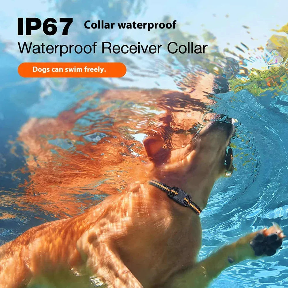 Collier de dressage électrique étanche anti-aboiements avec télécommande pour chien