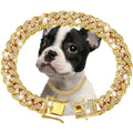 Haustier Diamant-Halsband, kubanische Gliederkette, kleine, mittlere, große Hunde und Katzen Halskette