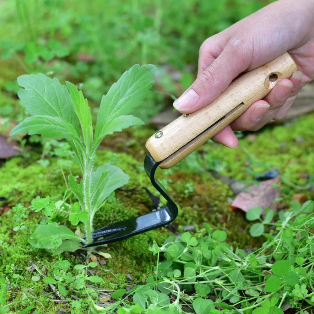 Outil de jardinage pour désherbage et enracinement de semis