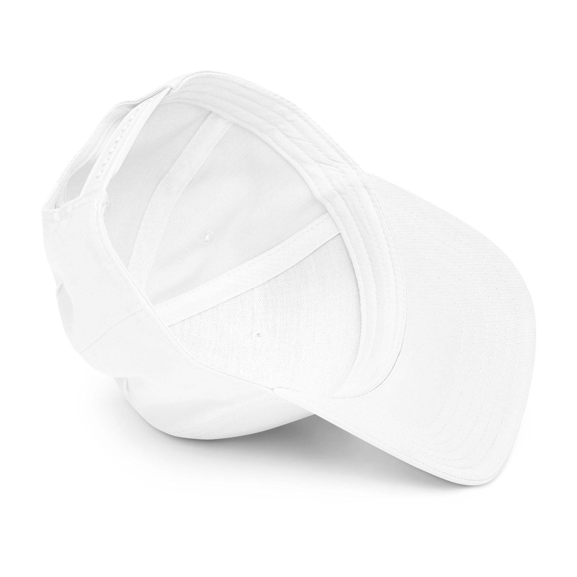 5 panel cap