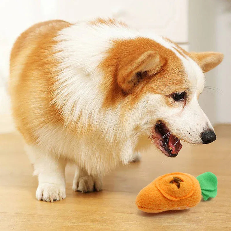 Jouet interactif pour chien, distributeur de nourriture caché