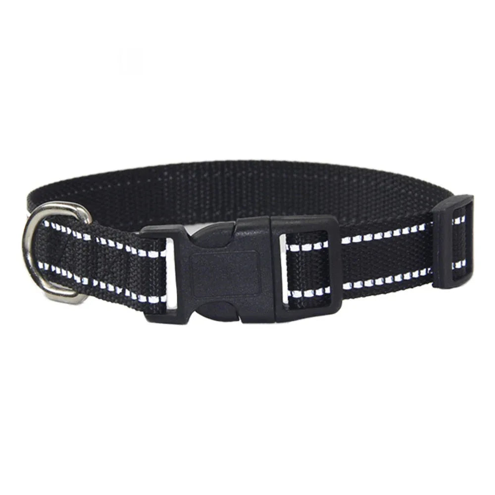 Reflektierendes Hunde-Halsband für den Außenbereich