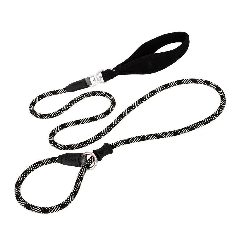 Laisse pour chien durable et confortable