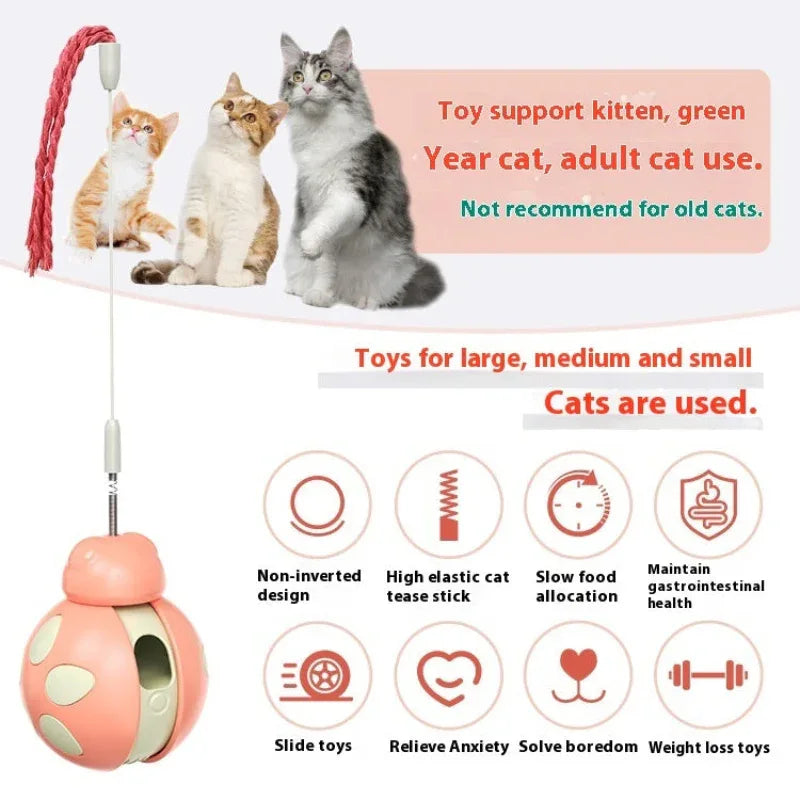 Jouet distributeur de nourriture pour animaux de compagnie anti-fuites, attrayant et stimulant