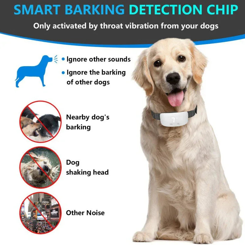 Hundetrainingshalsband Bellstopper Trainer mit digitalem LED-Display