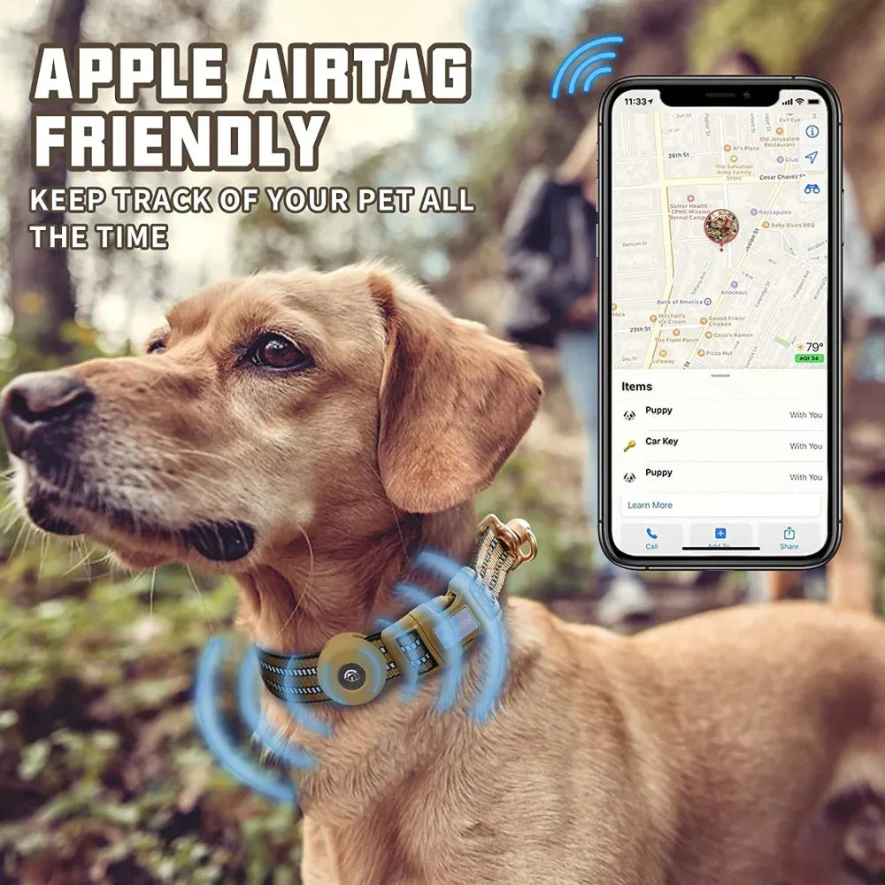 Silikonhülle Nylon Halsband für Hunde (verlorengehensicher)