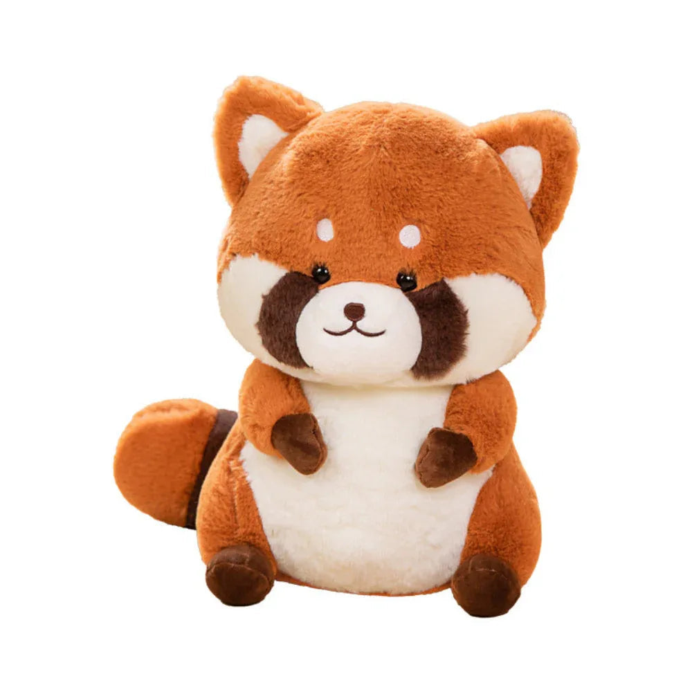 Peluche Raton Laveur Mignonne