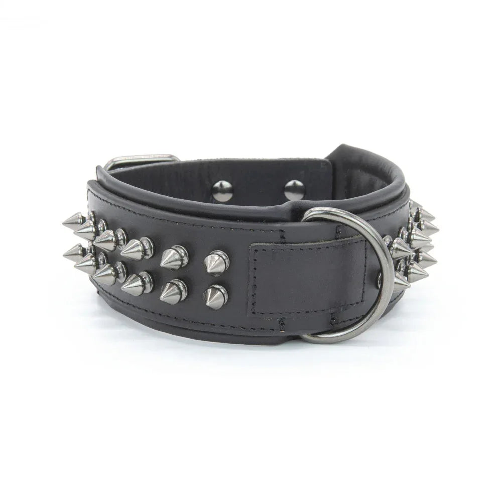 Collier en cuir pour animaux de compagnie et bandana pour chien
