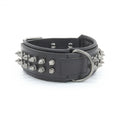 Collier en cuir pour animaux de compagnie et bandana pour chien