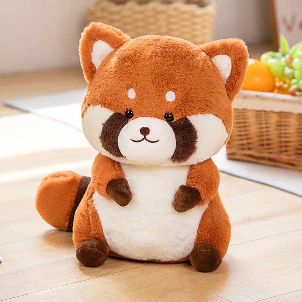 Peluche Raton Laveur Mignonne