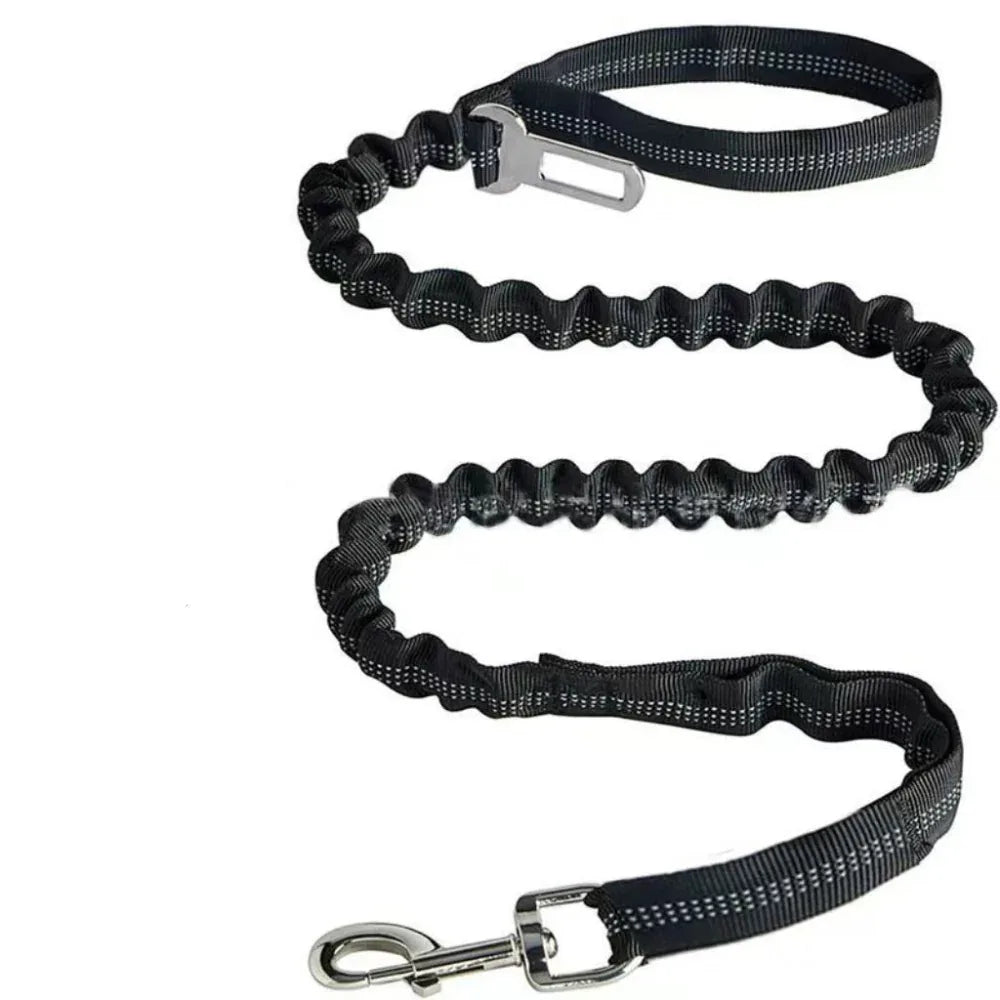 Laisse durable pour animaux de compagnie en polyester réfléchissant pour chien