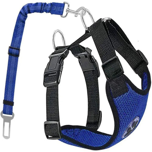 Harnais ajustable en nylon pour chien avec laisse amovible