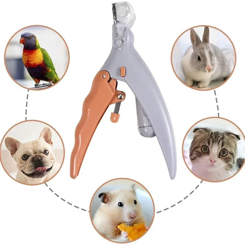 Coupe-ongles lumineux pour animaux de compagnie, avec loupe, adapté à la coupe des griffes et des pattes des chats et des chiens