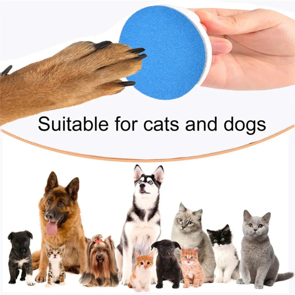 Bol d'alimentation rotatif à 360° pour animaux de compagnie avec planche à gratter pour chat et chien