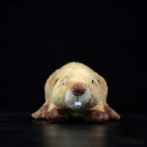 Peluche Castor