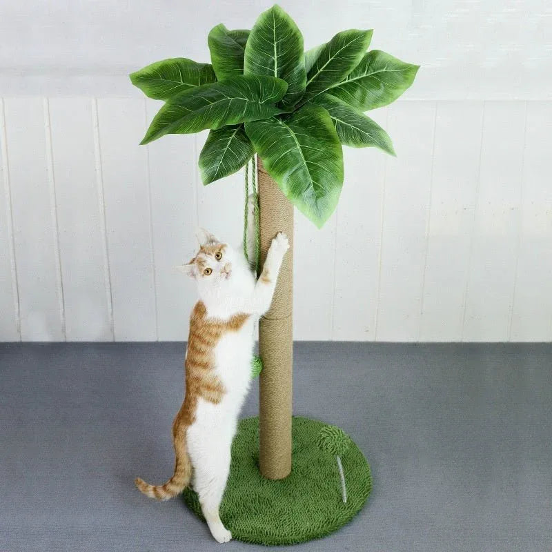 Poteau griffoir pour chat avec jouet balles suspendues