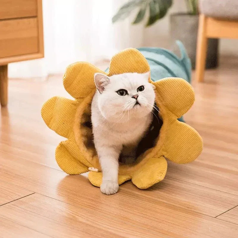 Jouets créatifs et amusants pour tunnels de chat