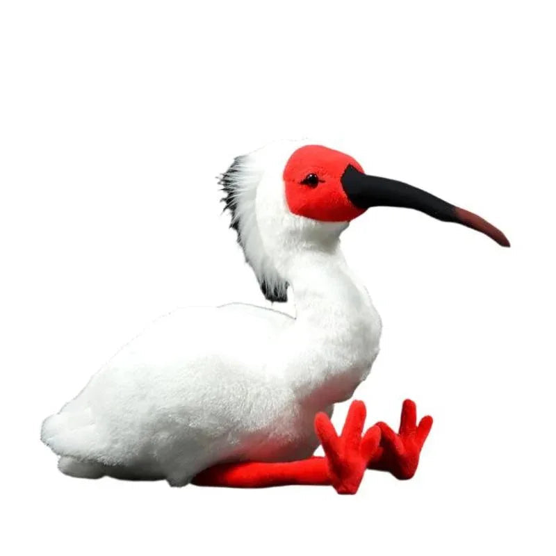 Peluche Ibis huppé (oiseau)
