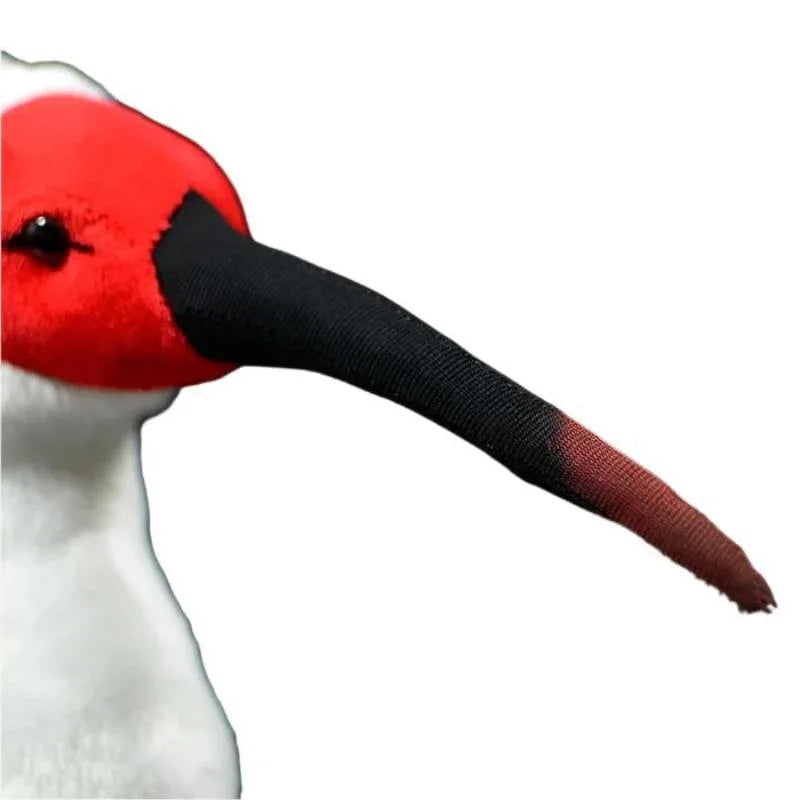 Peluche Ibis huppé (oiseau)