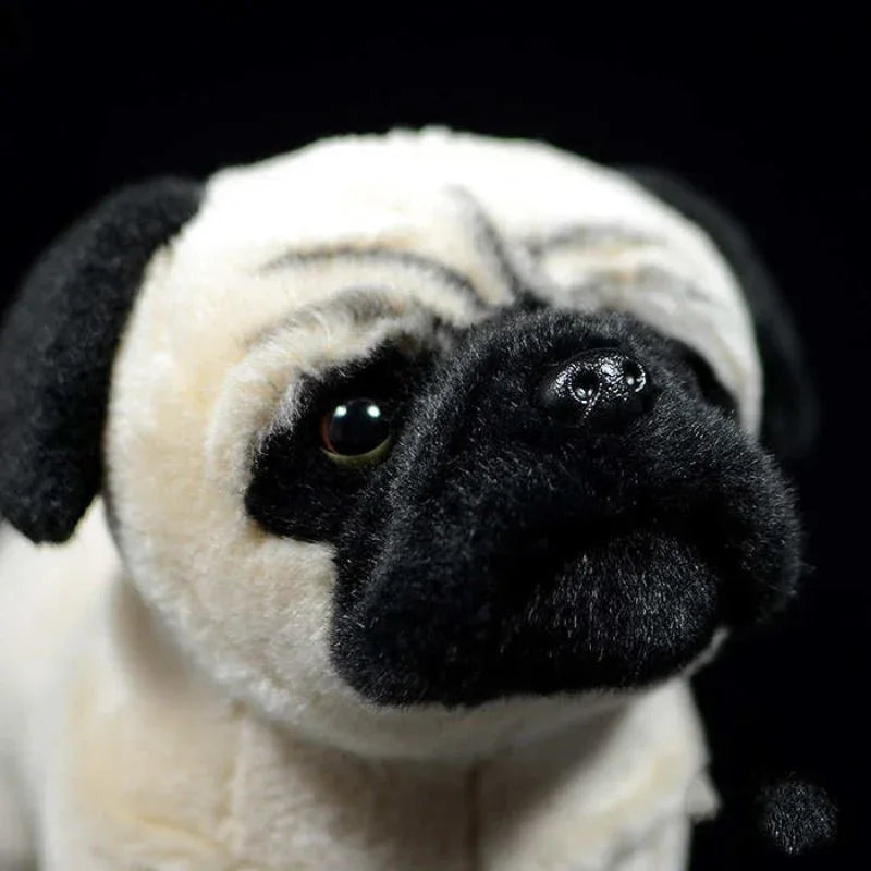Peluche Mignon Chiot Carlin