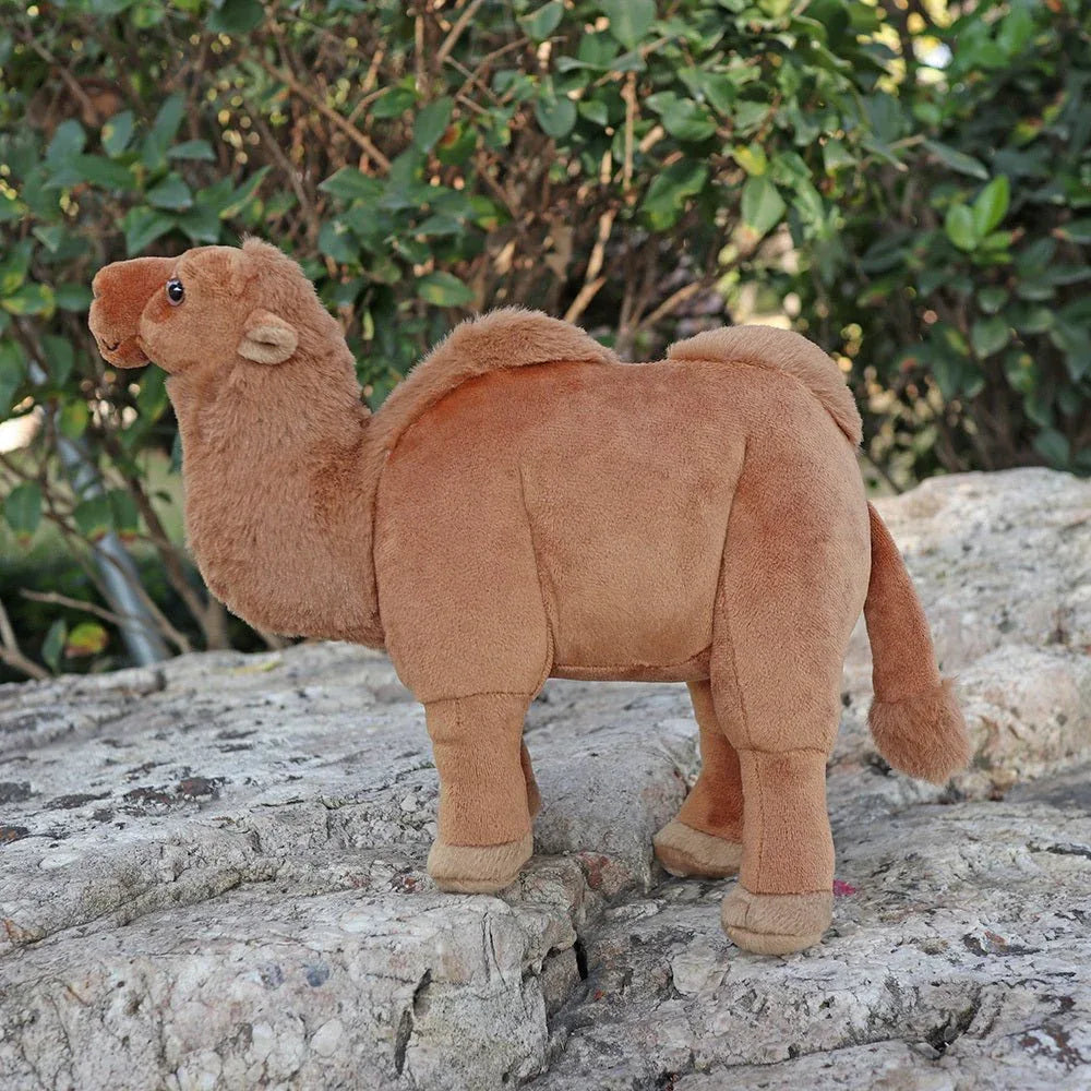 Peluche Chameau du Désert