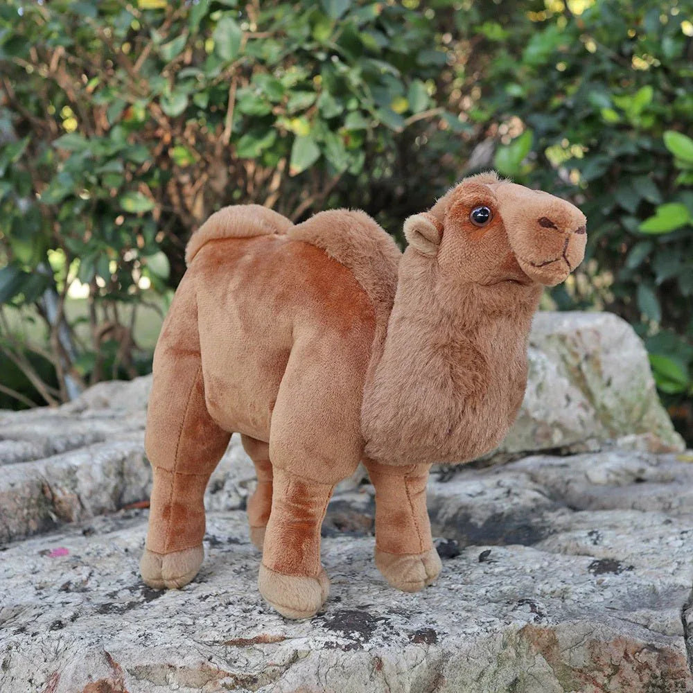 Peluche Chameau du Désert