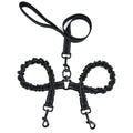 Laisse double pour chien