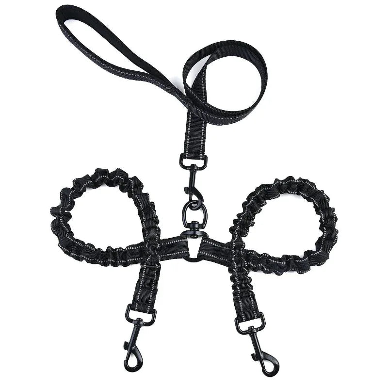 Laisse double pour chien