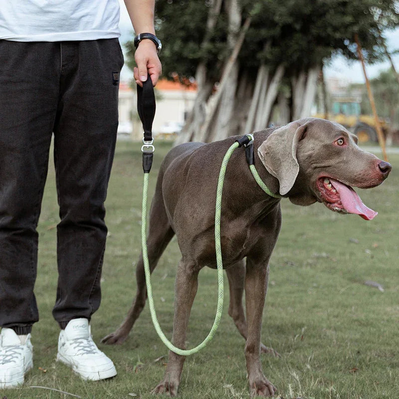 Laisse pour chien durable et confortable