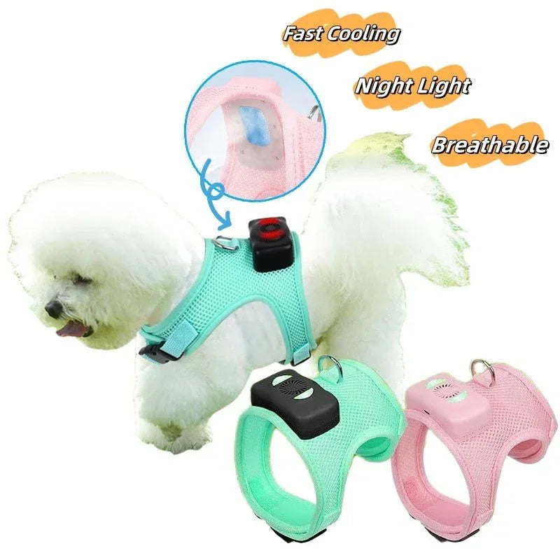 Harnais pour chien avec climatiseur électrique rafraîchissant et laisse de 120 cm, accessoires pour animaux de compagnie