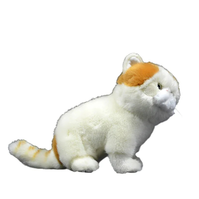 Exotische Perserkatze Plüschtier