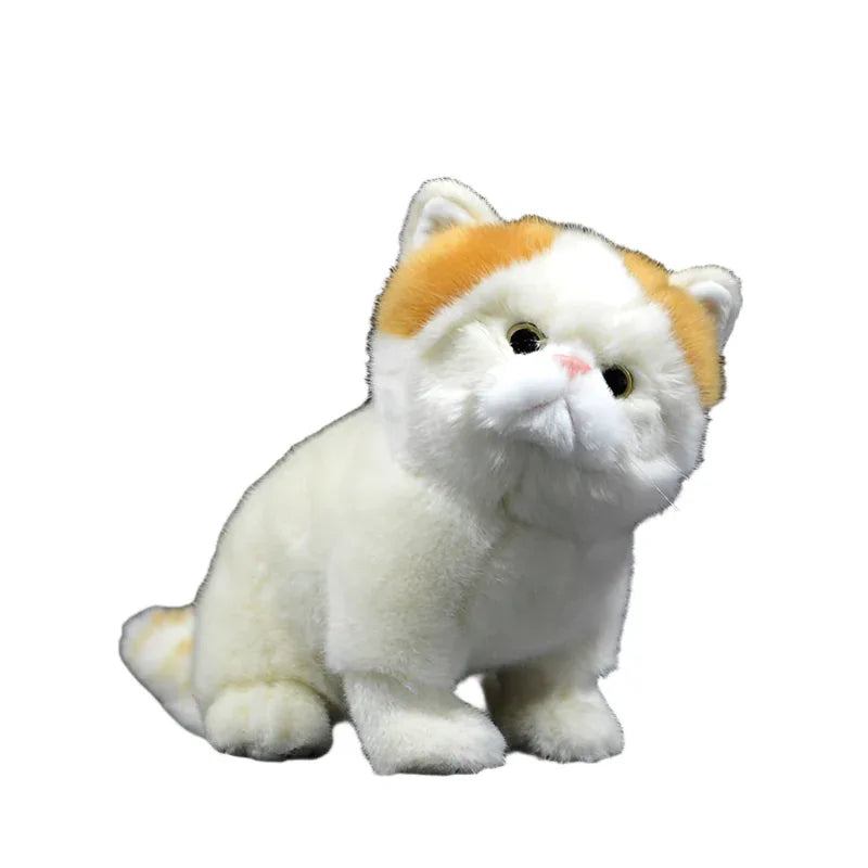 Exotische Perserkatze Plüschtier