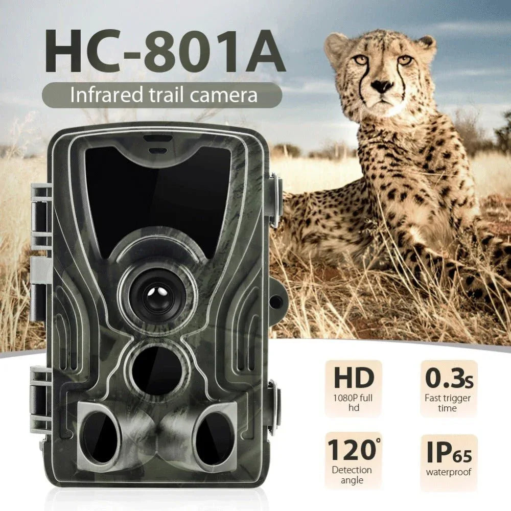 Caméra de chasse-Piège photographique HC801A Vision nocturne Déclenchement Surveillance 1080P 16MP