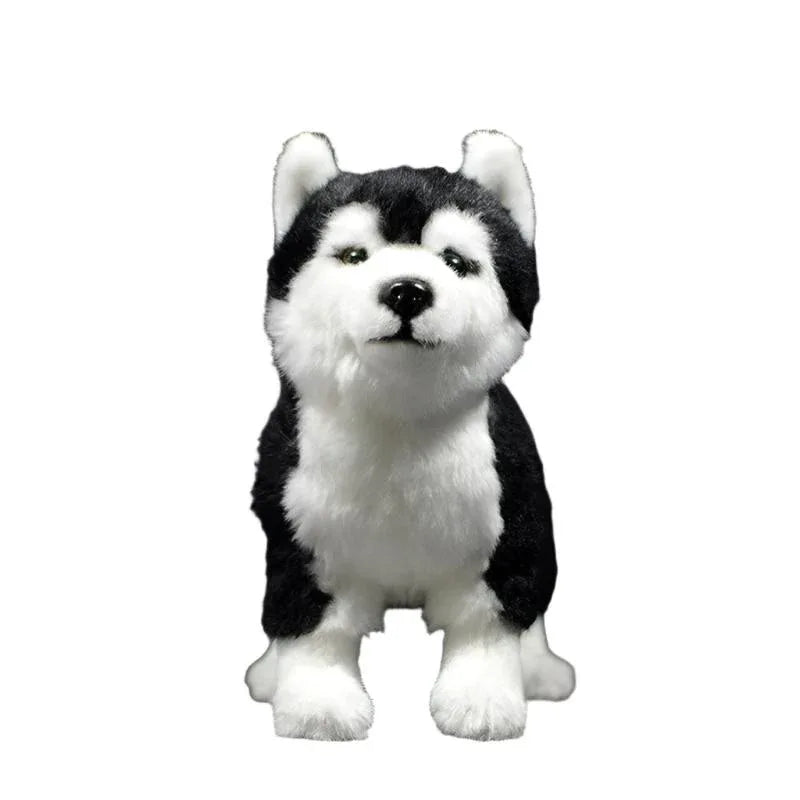 Husky-Plüschtier