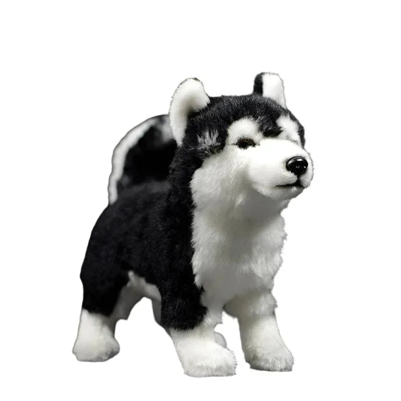 Husky-Plüschtier