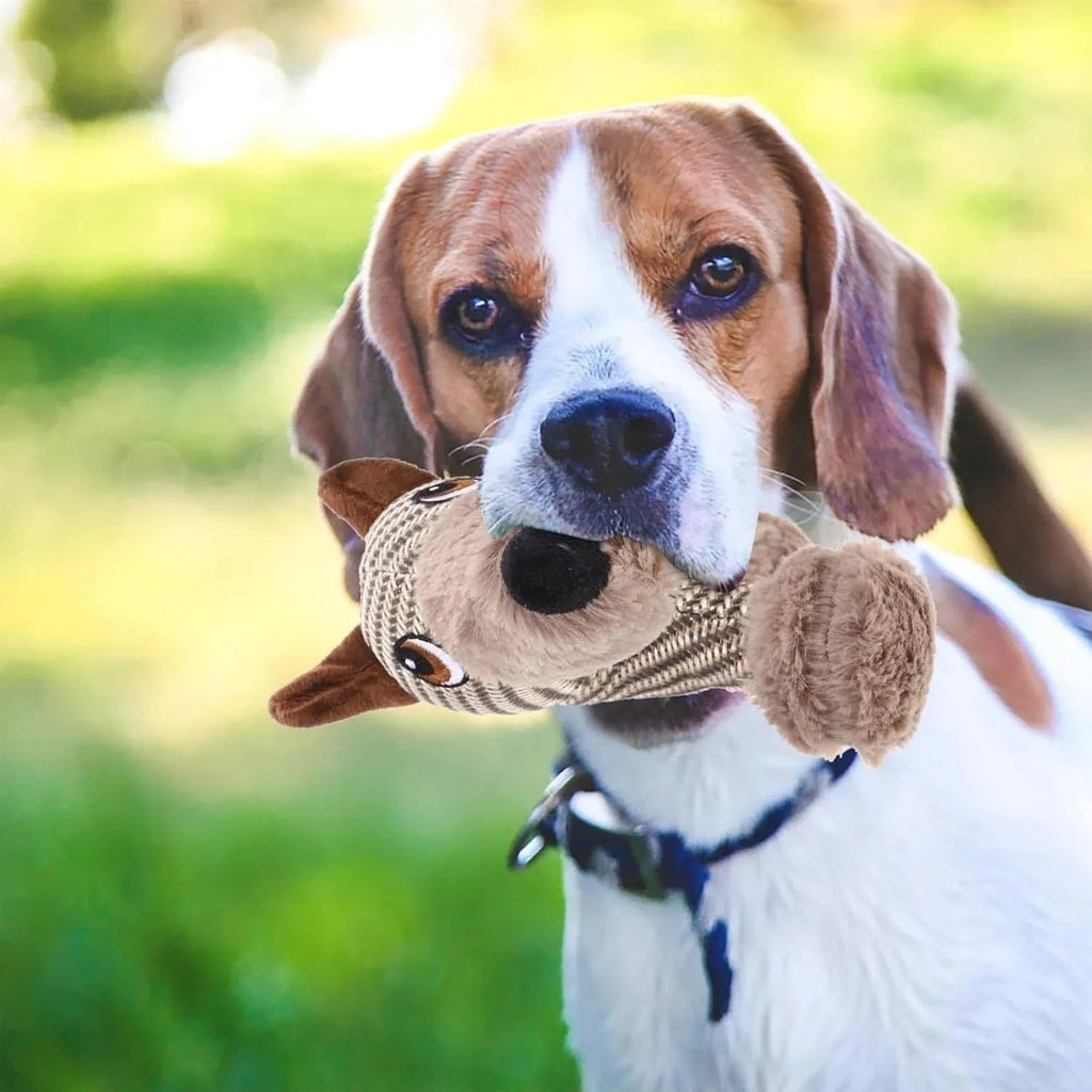 Große quietschende Stofftier-Hundekauspielzeuge
