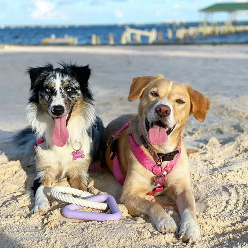 Grand anneau de traction triangulaire et anneau de traction en corde de coton résistant aux morsures Jouets interactifs amusants à mâcher pour chiens