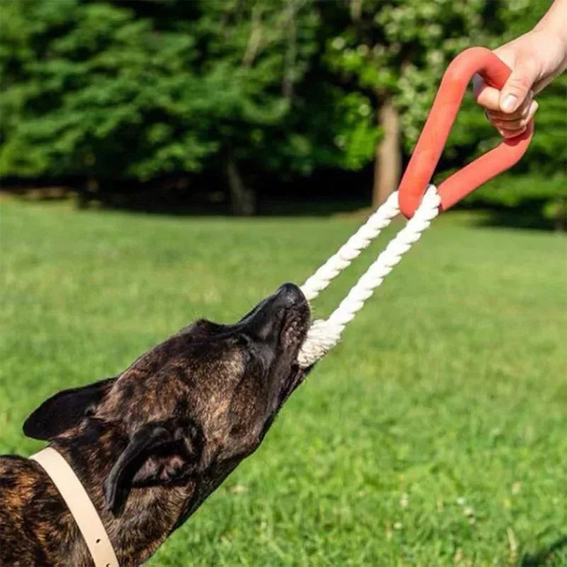 Grand anneau de traction triangulaire et anneau de traction en corde de coton résistant aux morsures Jouets interactifs amusants à mâcher pour chiens