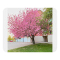 Mouse pad
