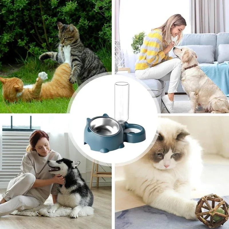 Gamme double gamelle pour chat ou chien