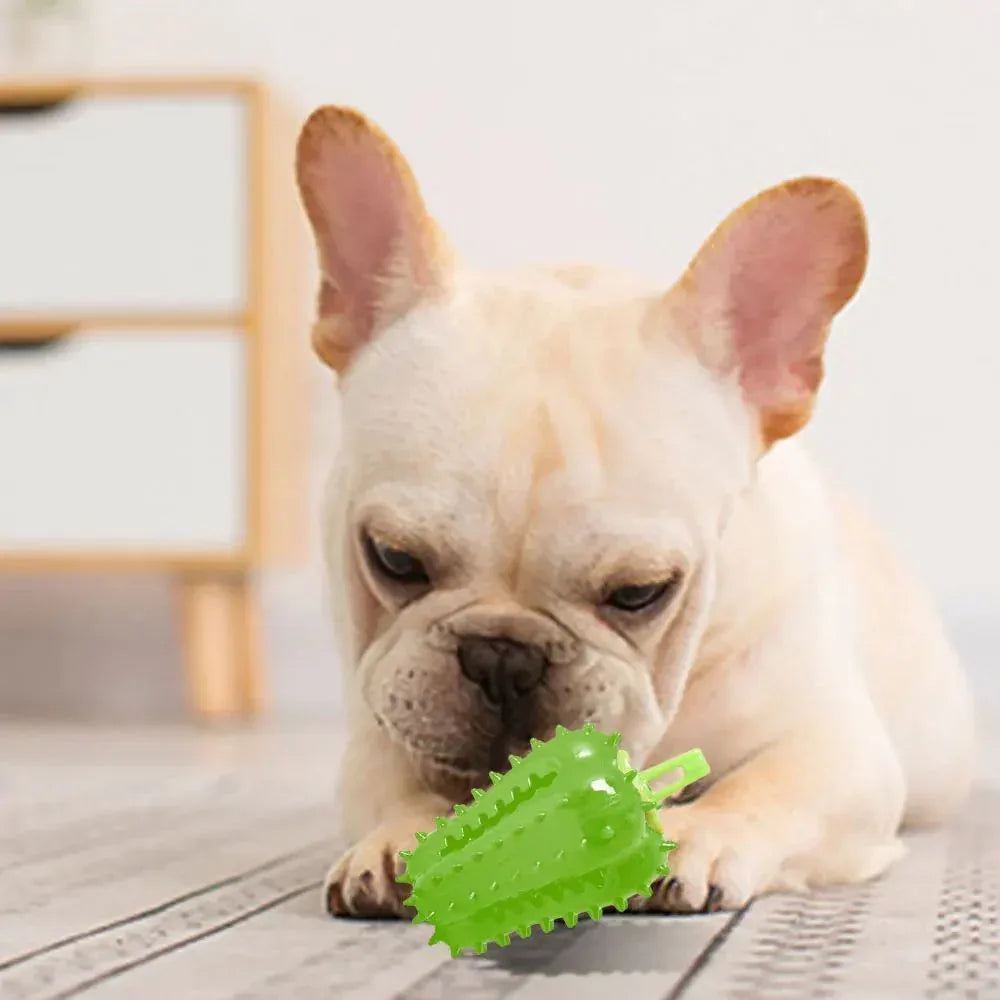 Sicheres und komfortables interaktives Hundekauspielzeug