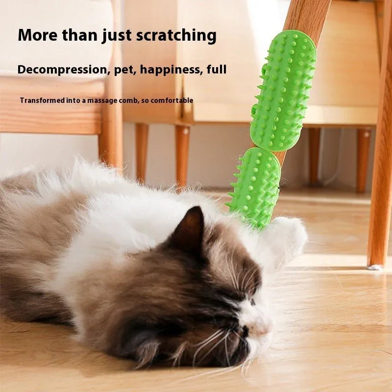 Jouets de massage auto-nettoyants pour chats et chatons à gratter